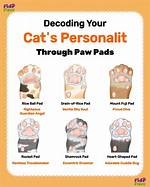 Unraveling the Mysteries of Cat Personality Paw