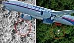 Unraveling the Mystery: Mh370 Found in Jungle