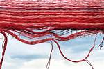 Unraveling the Secrets of Love, Resilience, and Growth