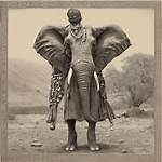 Unveiling Jamal Musiala's Diverse Ethnic Heritage