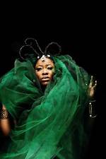 Unveiling the Glamour: a Comprehensive List of Playmates