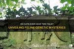 Unveiling the Mysteries of a Rare Genetic Condition