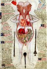 Unveiling the Mystery of Tarrare Organ Autopsy