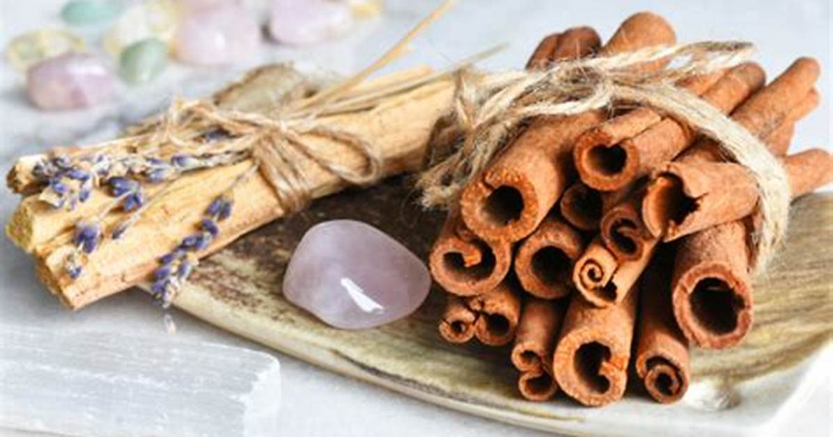 Unveiling the Wonders of Ceylon Cinnamon: Exploring Rasa Dicpetris