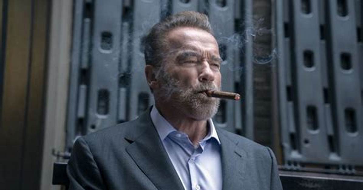 We Need Arnold Schwarzenegger's Fubar Season 2 Asap