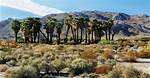 Who Is Louis Kimble from Twentynine Palms? Fatal Attraction Retells the Story of California Murder