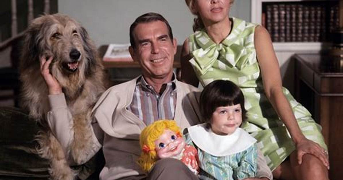 Who Played Dodie on My Three Sons
