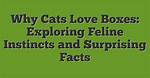 Why Can't This Be Love? Exploring the Mysteries of Unrequited Affection